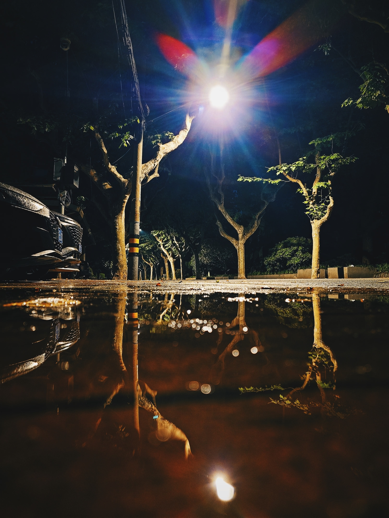 Suburban avenue before dawn. Trees relected in a puddle after rain-shower.