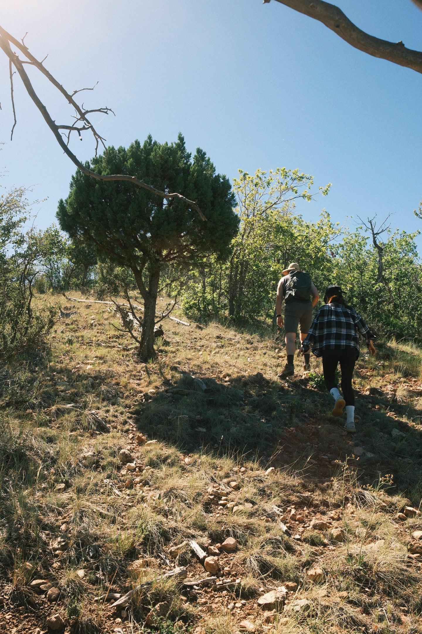 Jay and Bebe hiking up a particularly vertical part of the trail.