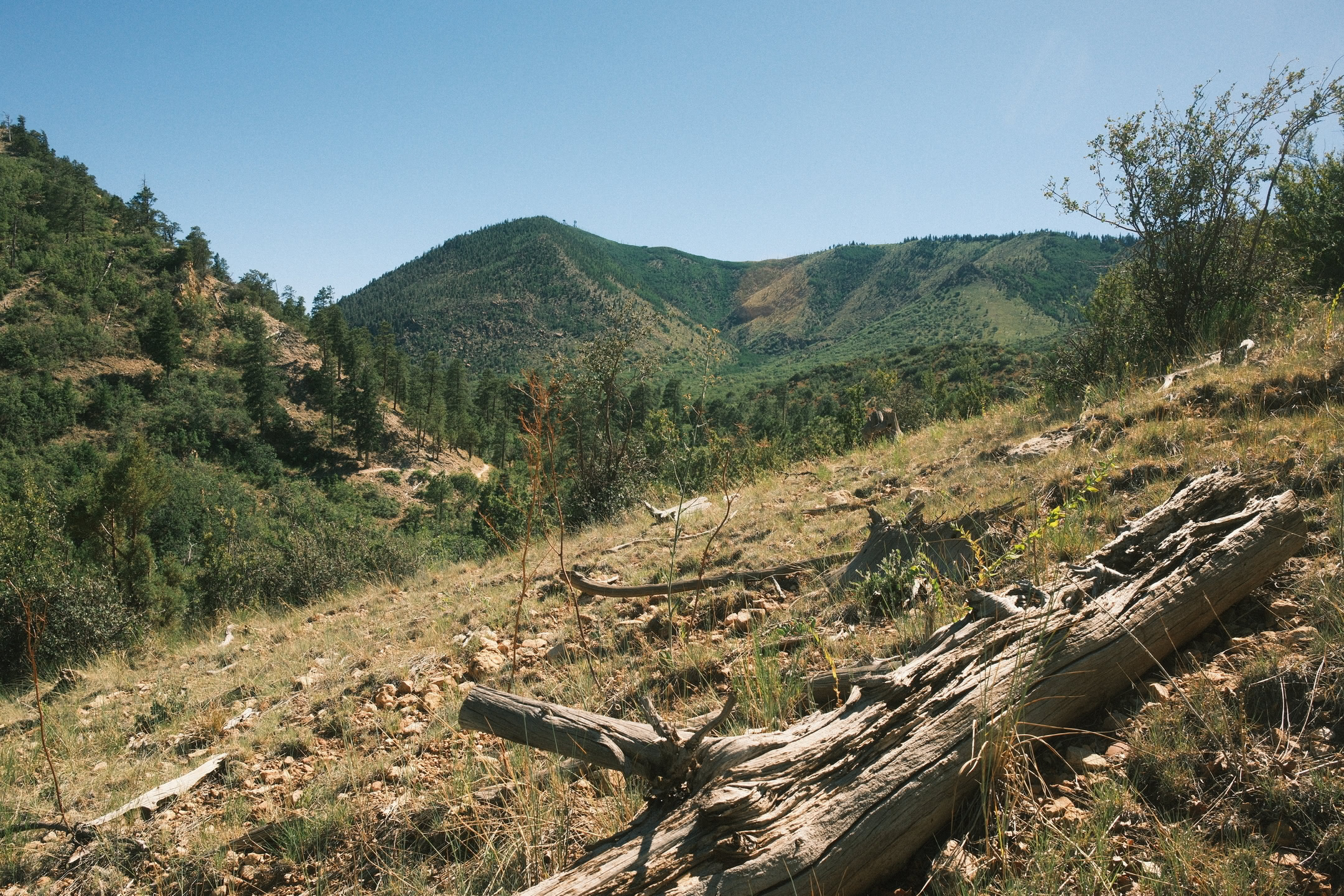 Trail curving around through an opening, showing smaller mountains in the distrance.